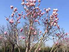 -石家庄市动物园