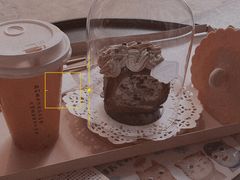 -喵屿·大理花园猫咖