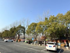 -合肥滨湖国家森林公园