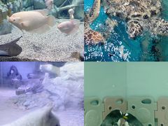 -正佳极地海洋世界