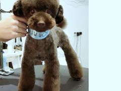 -Oh My Dog宠物沙龙(伊珊娜皮毛护理店)