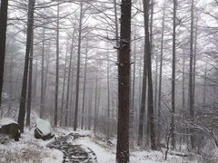 -崂山巨峰游览区