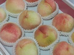 -南汇新场正宗水蜜桃采摘