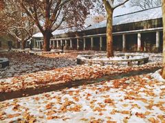 -曲阜师范大学(曲阜校区)