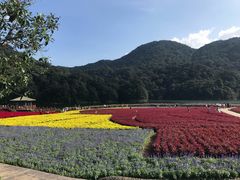 -广州市石门国家森林公园