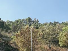 -圣胡斯塔升降机