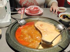 -生活如沸·顺德水牛奶火锅(大学路店)