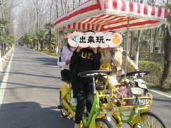 -合肥滨湖国家森林公园