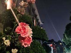 -岳阳阿波罗御庭酒店