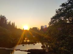 -云溪植物园