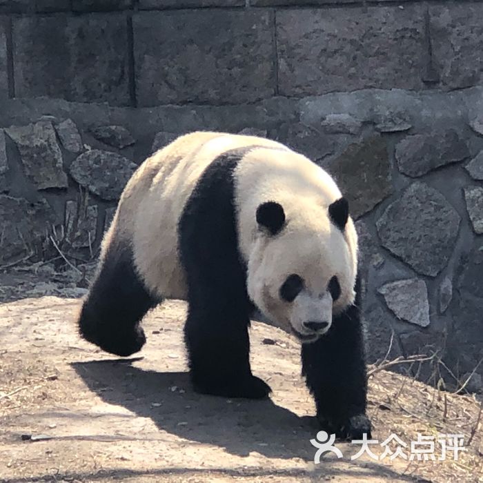 北京動物園