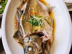 -大中华酒楼·主席武昌鱼·武汉美食地标(江汉路步行街店)