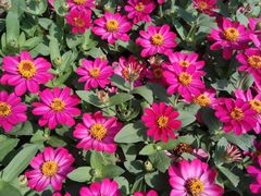 -贵阳市花溪国家城市湿地公园