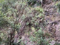 -东莞观音山旅游风景区