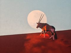 -罗红摄影艺术馆