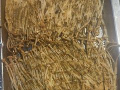 -古彭7只羊·招牌白串·碳锅羊肉旗舰店