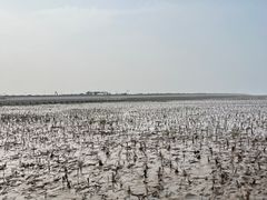 -南汇嘴观海公园