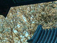 -颐和园
