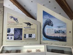 -延庆地质公园博物馆