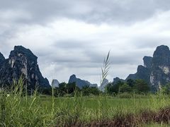 -明仕田园