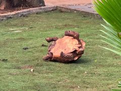 -海南热带野生动植物园
