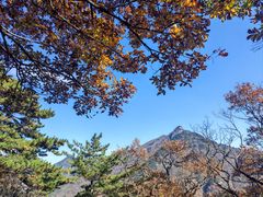 -罗田天堂寨风景区