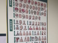 -通透堂中医·精准推拿(旗舰店)