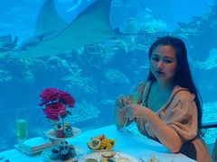 -涛·海底餐厅·美人鱼·自助餐·海底隧道(三亚海棠湾洲际度假酒店)
