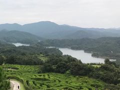 -中旅阿那亚九龙湖·公主酒店