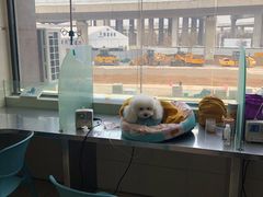 -康旭宠物医院(郑州总院)