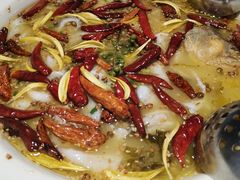-新太二·鲜料川菜(花都融创茂店)