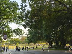 -东莞植物园
