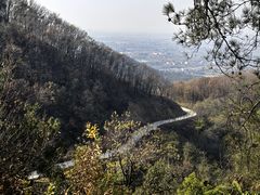 -素山寺森林公园