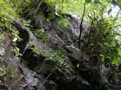 藏龙百瀑-藏龙百瀑风景区