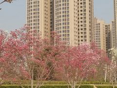 -燕郊植物园