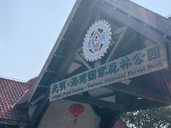 -上海海湾国家森林公园