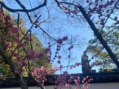 -上海醉白池公园
