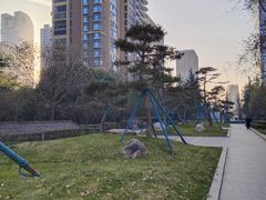 -木塔寺遗址生态公园