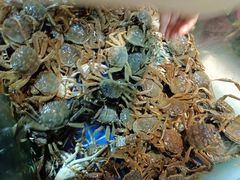 -鑫海汇海鲜烤肉自助(北国商城店)