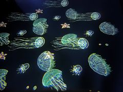 -顺德南宏海立方海洋公园