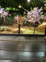 -酷嗒动物文化乐园(cutezoo西溪乐天城店)