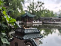 -MAP CHA普洱茶馆(翠湖店)