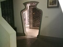 -合肥滨湖国家森林公园