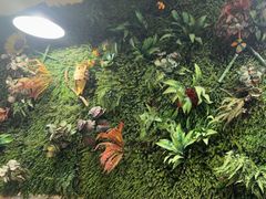 -味之绝热血美蛙鱼火锅(中坝店)