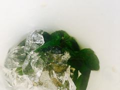 -油梨树AVOCADO TREE(顺义新国展店)