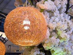 -树厨贵州菜(小河万科店)