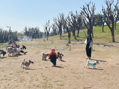 -小意思咖啡店(草桥店)