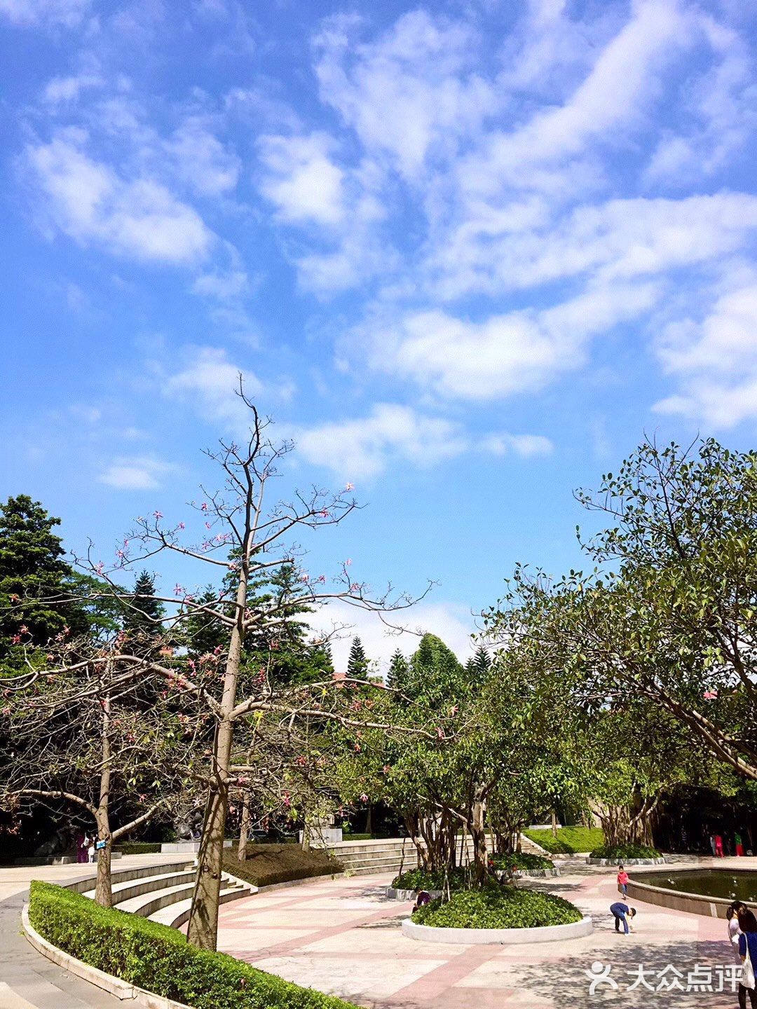 春日踏青 | 雕塑公园的美景