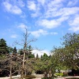 春日踏青 | 雕塑公园的美景
