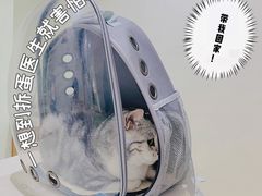 -艾贝尔宠物医院·24H转诊中心·肿瘤猫专科(江宁双龙店)